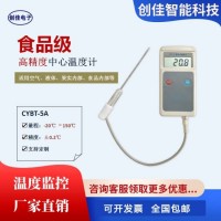 CYBT-5A便携式手持中心温度计果心温度计探针温度计热力公司供热专用定制