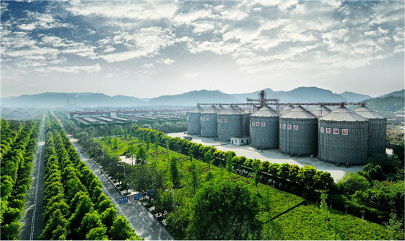 1720157066878005037.jpg 图片3.jpg