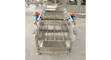 叶菜类清洗后震动除水线 震动沥水机图1