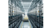 国陆乳业有机纯驼乳粉300g新疆驼奶图3