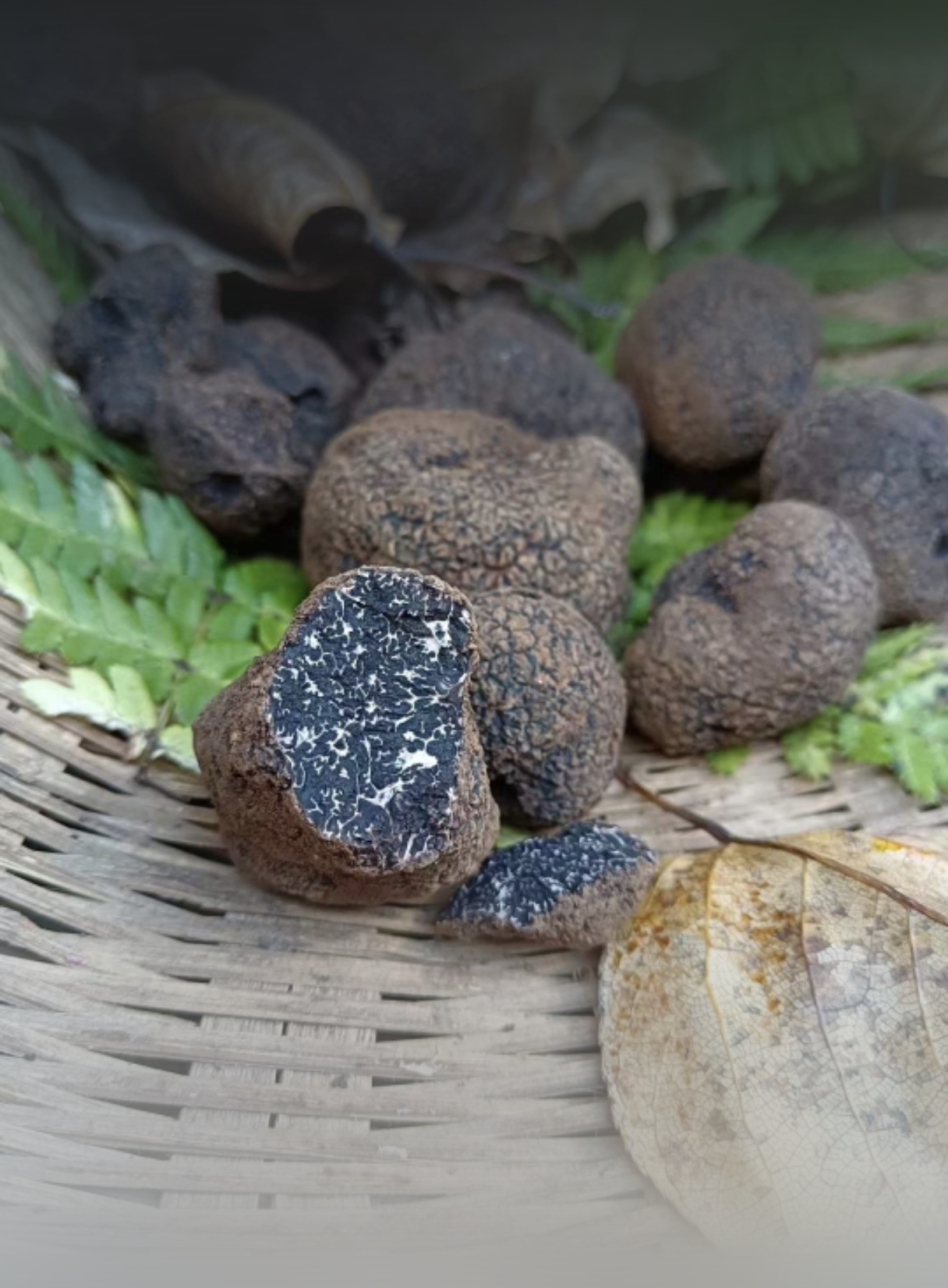 http://www.cnfood.com/file/upload/202409/25/180308641.jpg