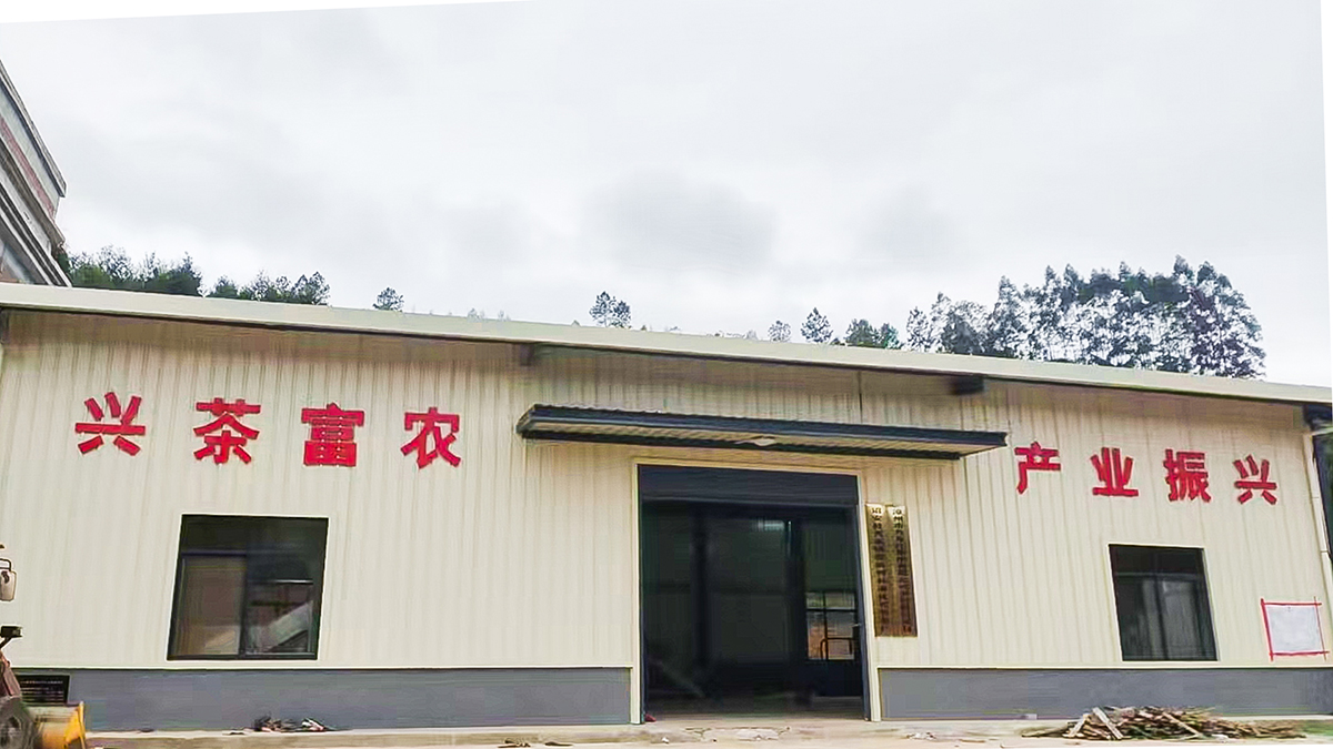 诏安单从02.jpg 诏安单从02.jpg