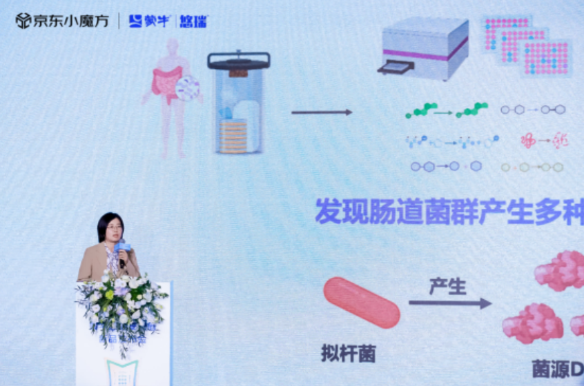 QQ截图20241205181042