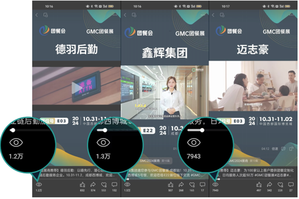QQ截图20241209173200