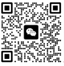 QQ截图20241224123245