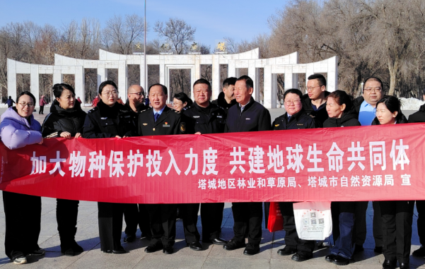 QQ截图20250304133248