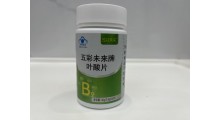 五彩未来牌叶酸片图1
