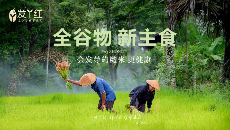 全国体重管理三年行动，发丫红全谷物让健康主食“鲜活”起来