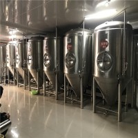 青岛2吨精酿原浆不锈钢啤酒设备 生产啤酒设备的工厂