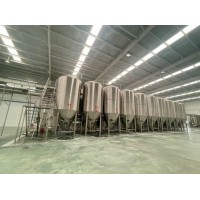 精酿啤酒厂产量100吨的大型精酿啤酒设备生产厂家