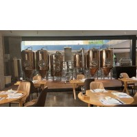 500升啤酒屋精酿鲜酿啤酒设备 小型啤酒设备厂家