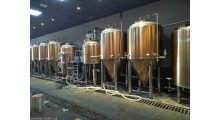 酒店日产1吨2吨的精酿原浆啤酒设备 糖化系统图1