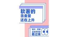 计算机软件著作权（软著）核心信息详解图1
