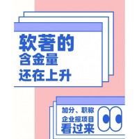 计算机软件著作权（软著）核心信息详解