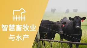 围栏里站着几头牛<i></i><i></i>
<i></i><i></i>
AI 生成的内容可能不正确。