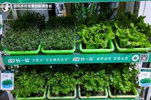 街道上有店铺的标志绿色蔬菜<i></i><i></i>
<i></i><i></i>
AI 生成的内容可能不正确。