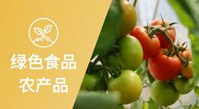 图片包含 游戏机, 水果<i></i><i></i>
<i></i><i></i>
AI 生成的内容可能不正确。