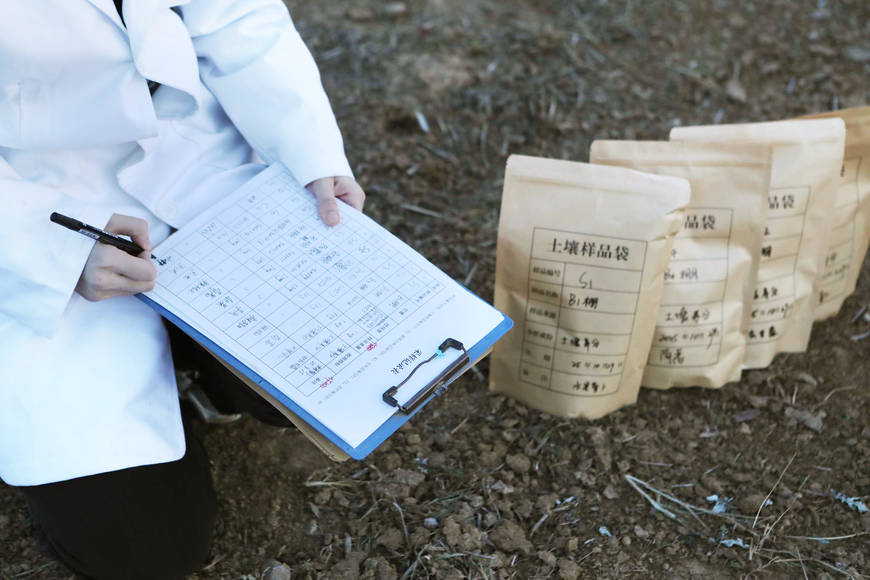 世界土壤日:朝日唯品发布《土壤白皮书》,20余年循环农作读懂土壤语言