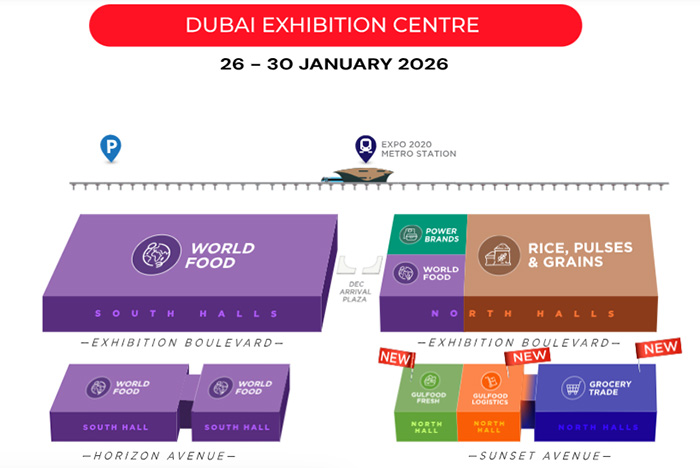 1765179735550522.jpg 05.jpg