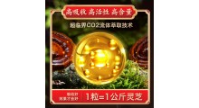 御沁品灵芝孢子油，高含量，源头厂家，支持一件代发图2