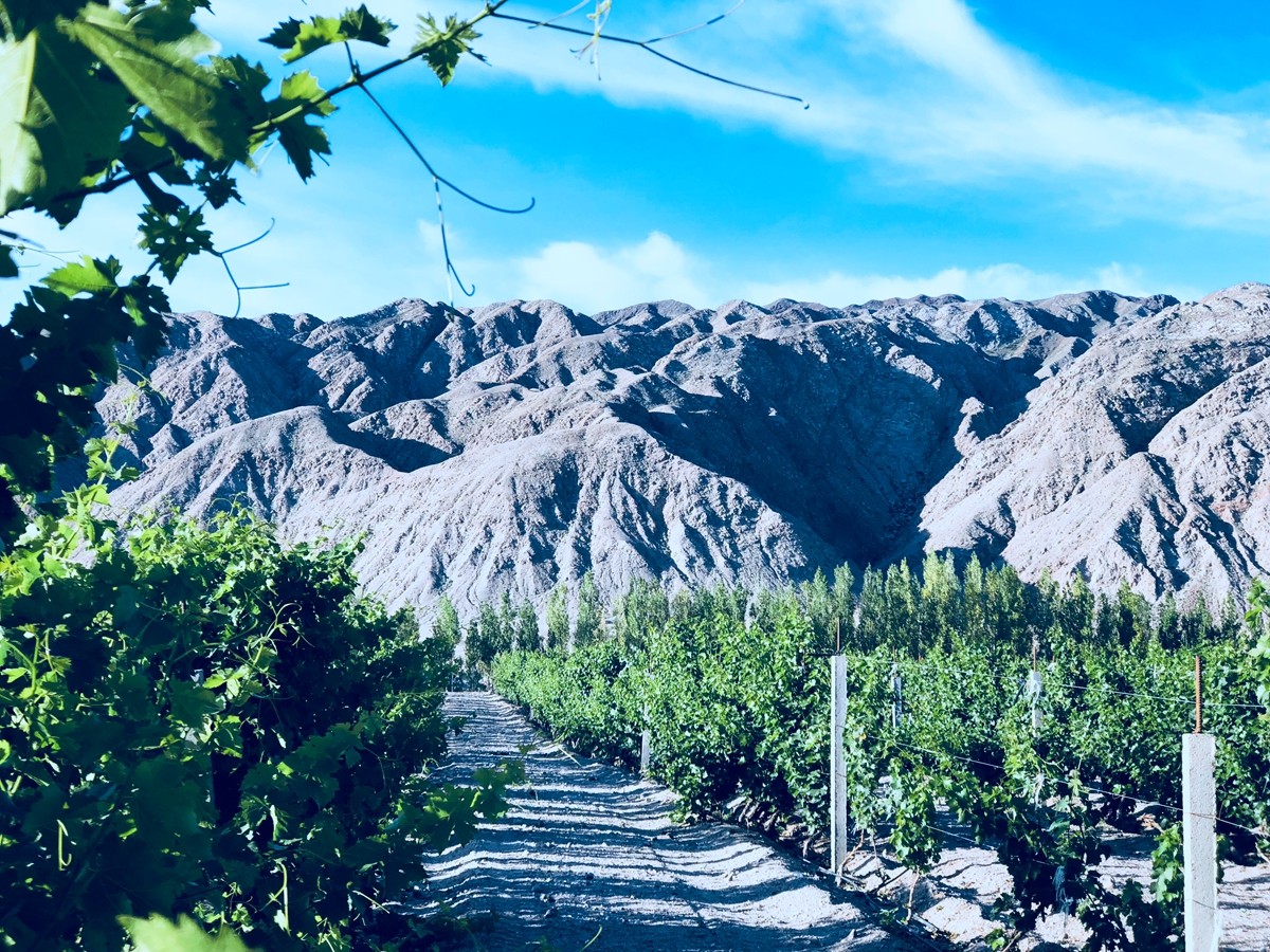 1774343602629932.jpg 调10.jpg