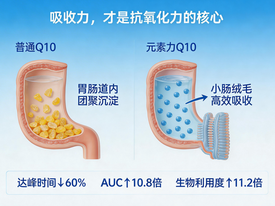 http://www.cnfood.com/file/upload/202603/25/172525851.png