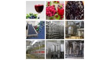 蓝莓树莓草莓果汁果酱生产线图1