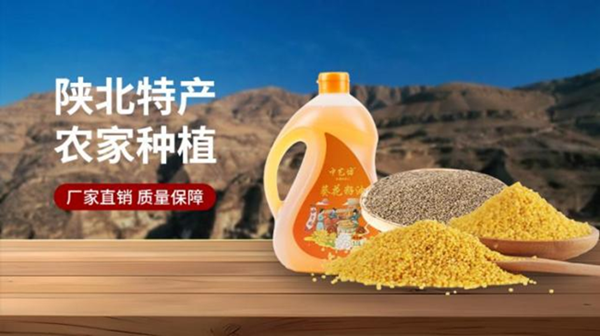 图片9.png