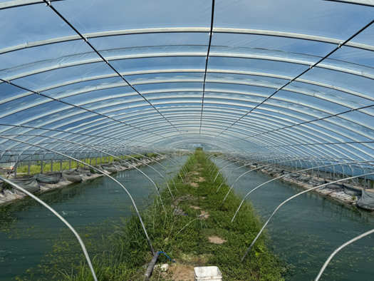 QQ20260810-110002