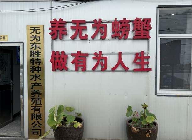 QQ20260810-110309